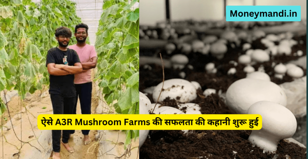 A3R Mushroom Farms Success Story
